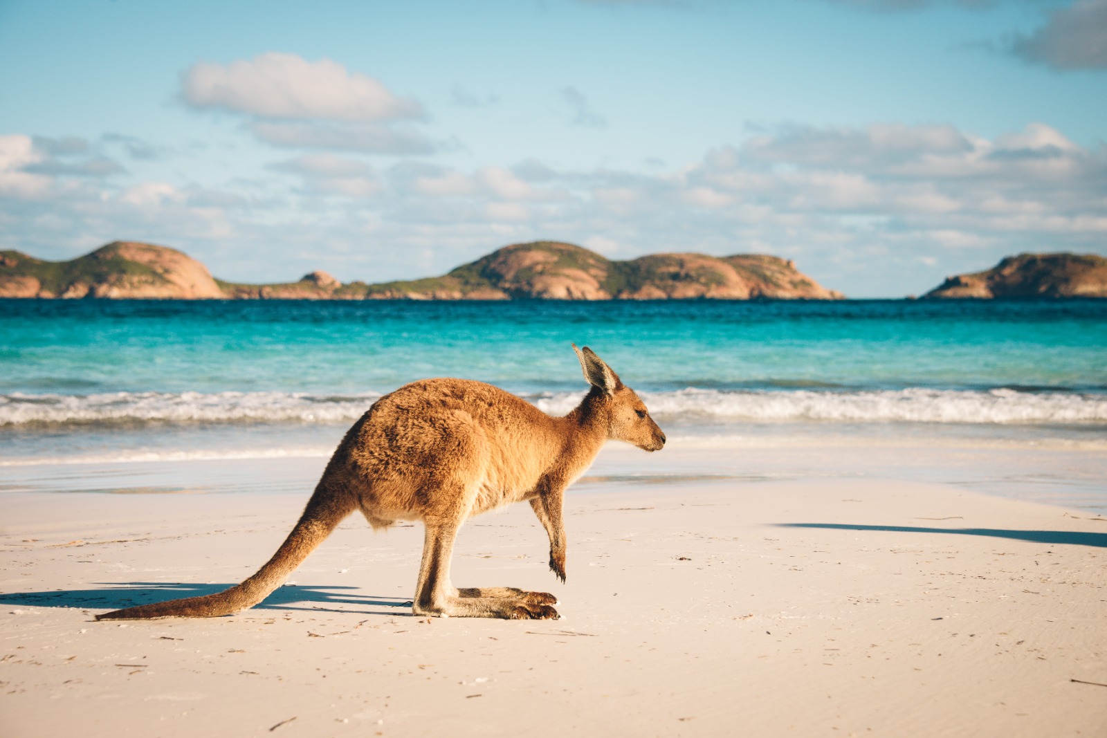 https://www.omintassistance.com.ar/blog/wp-content/uploads/2024/07/Seguro-de-viaje-a-Australia-todo-lo-que-tenes-que-saber.jpeg